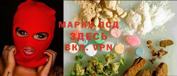 тгк Нея