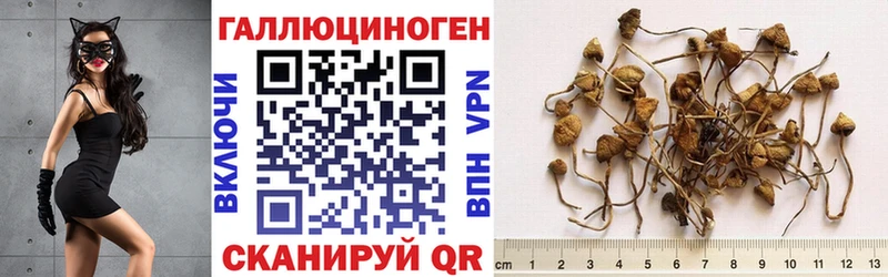 мега ТОР  Никольск  Псилоцибиновые грибы ЛСД 